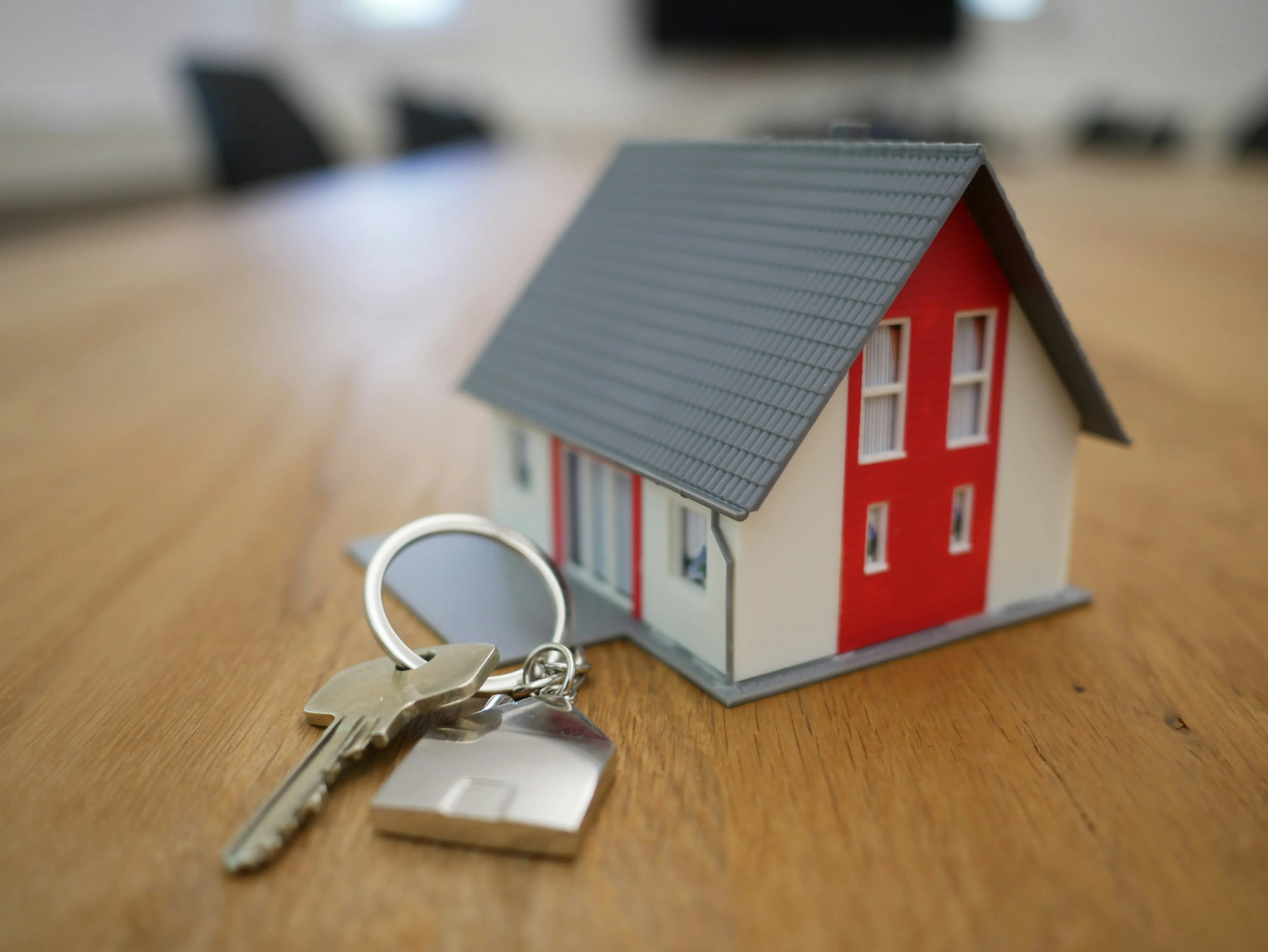 Tiny house on a plot of land with trees zoning and permits guide